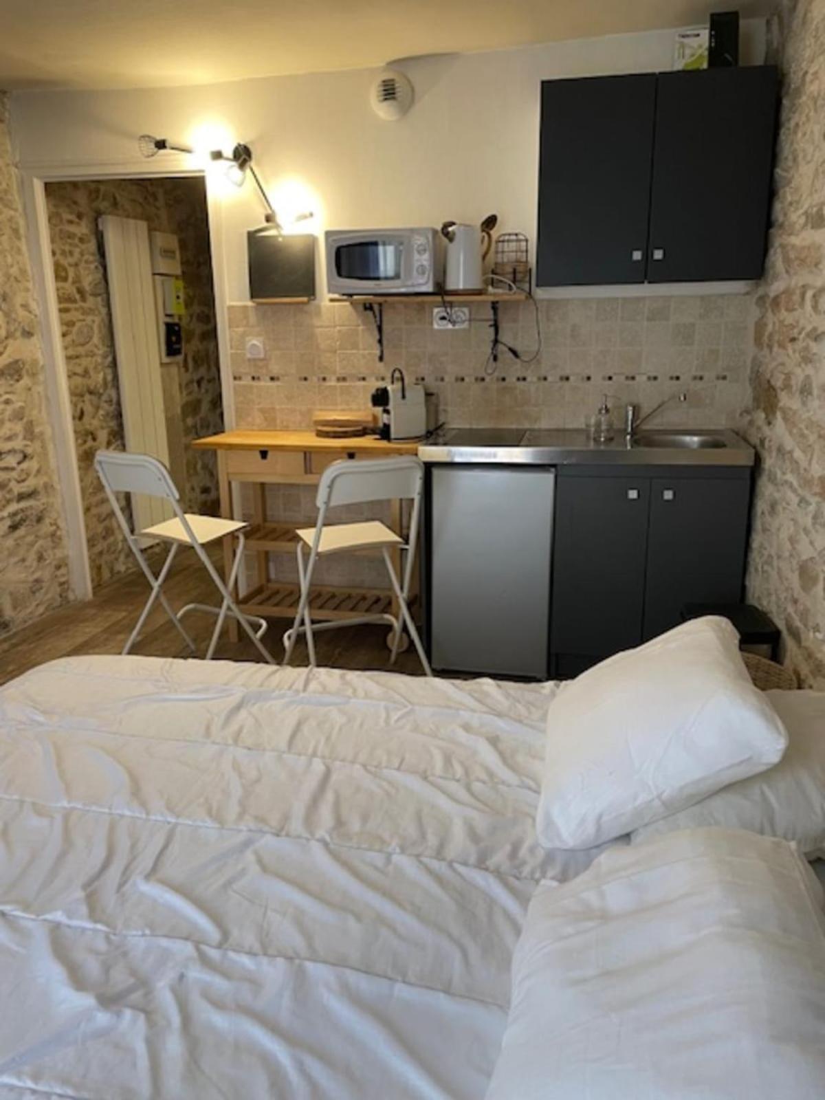 Studio With Exposed Stone Vieux Lyon Bagian luar foto
