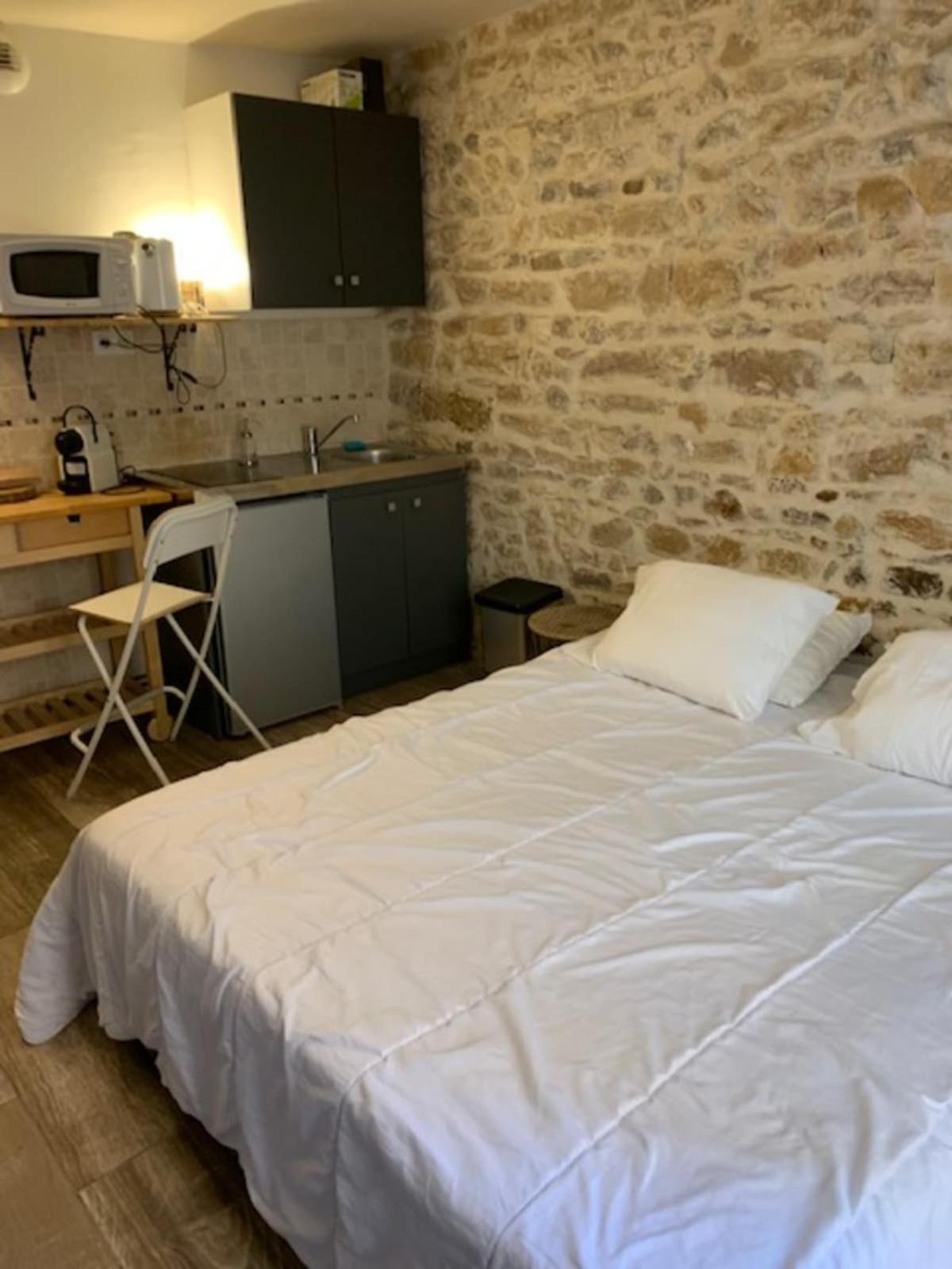 Studio With Exposed Stone Vieux Lyon Bagian luar foto