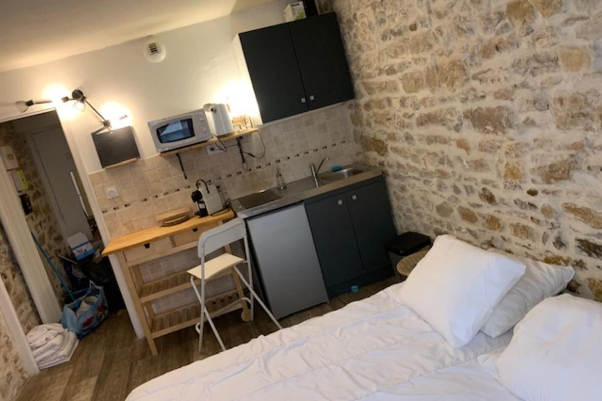 Studio With Exposed Stone Vieux Lyon Bagian luar foto